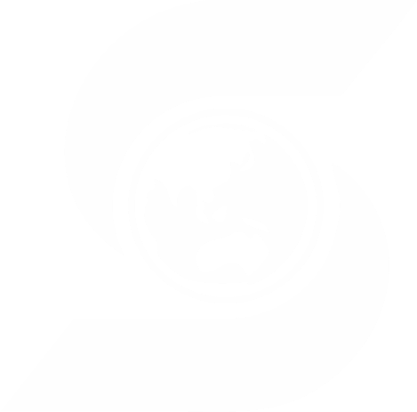 Synergy Cargo